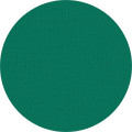 C029 - Varsity Green