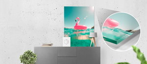 Acrylglas Foto – Dein Foto hinter Acrylglas in Premium-Qualität | Digitaldruck-Fabrik Foto hinter Acrylglas